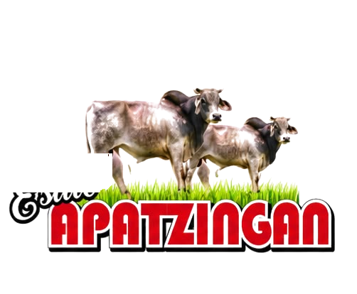 Logo Estilo Apatzingán